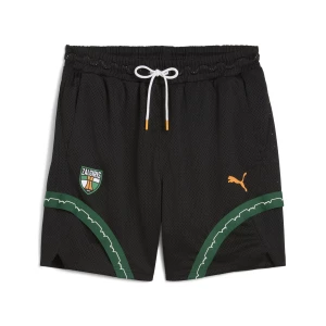 Obrázek produktu PUMA BC Zalgiris Kaunas Post Game Basketball Shorts Men, Men, Black,