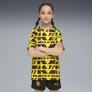 Obrázek produktu PUMA Borussia Dortmund Pre-match Jersey Youth, Clothing, Faster Yellow/Black