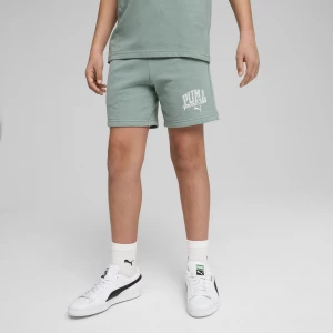 Obrázek produktu PUMA Class Shorts Youth, Clothing, Green Moon,