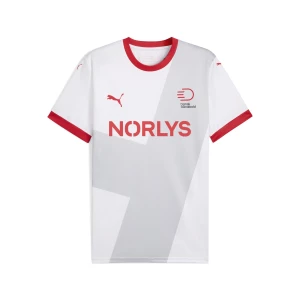 Obrázek produktu PUMA Danish Handball Federation 2025 Away Jersey Men, Clothing, White/Cool Light Gray