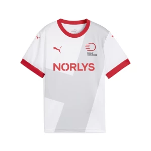 Obrázek produktu PUMA Danish Handball Federation 2025 Away Jersey Youth, Clothing, White/Cool Light Gray