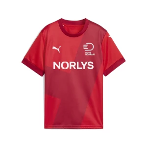 Obrázek produktu PUMA Danish Handball Federation 2025 Home Jersey Youth, Clothing, Red/Dark Cherry,