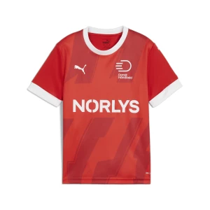 Obrázek produktu PUMA Denmark Handball Youth Home Jersey, Clothing, Red/White