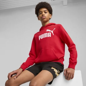 Obrázek produktu PUMA ESS No. 1 Logo Hoodie Youth, Clothing, Red,