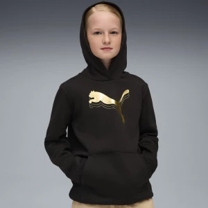 Obrázek produktu PUMA Essentials Metallic Hoodie Youth, Back, Black/Metallic Gold,