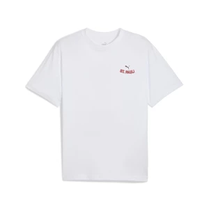 Obrázek produktu PUMA FC St. Pauli Graphic Tee Men, Sport, White/Espresso Brown,