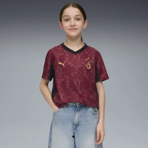 Obrázek produktu PUMA Galatasaray SK 25/26 Third Jersey Youth, Clothing, Regal Red/Gold