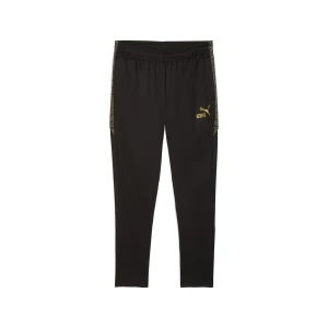 Obrázek produktu PUMA KINGtouch Football Pants Men, Sport, Black/Gold