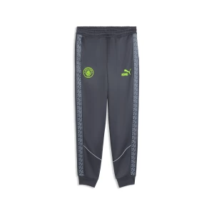 Obrázek produktu PUMA Manchester City KING Anthem Pants Men, Sport, Galactic Gray/Pro Green