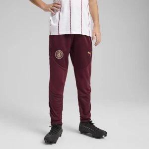 Obrázek produktu PUMA Manchester City Training Pants Youth, Clothing, Dark Jasper