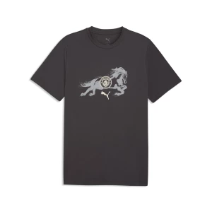 Obrázek produktu PUMA Manchester City x Year of the Horse Tee Men, Football, Flat Dark Gray/Gray Echo