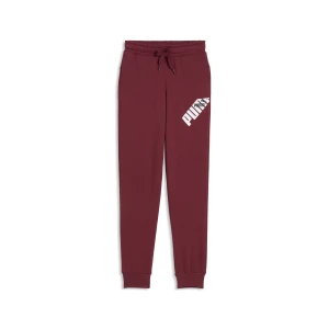 Obrázek produktu PUMA POWER Youth Sweatpants, Clothing, Regal Red,