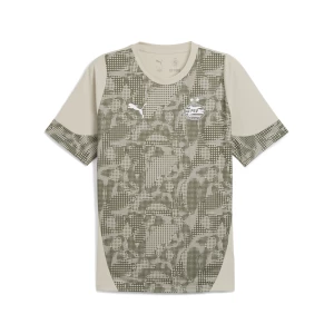 Obrázek produktu PUMA PSV Eindhoven Training Jersey Men, Sport, Desert Dust/Loden Green