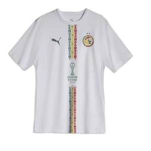 Obrázek produktu PUMA Senegal 2025 Winners Tee Men, Sport, White/Sport Green,