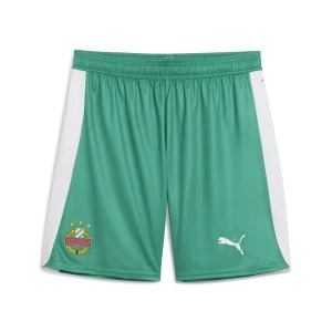Obrázek produktu PUMA SK Rapid Wien 25/26 Shorts Men, Sport, White/Sport Green