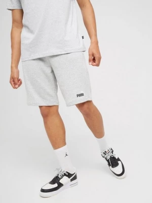 Obrázek produktu Puma Šortky Ess+ 2 Col 10"