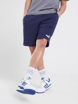 Obrázek produktu Puma Šortky Ess 10"