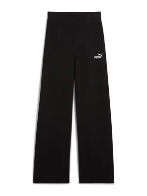 Obrázek produktu PUMA Sportovní kalhoty 'ESS No. 1'  černá