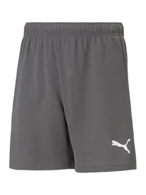 Obrázek produktu PUMA Sportovní kalhoty 'TeamRise'  šedá / bílá