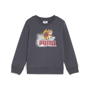 Obrázek produktu PUMA Woodland Fleece Crew Sweatshirt Kids, Clothing, Galactic Gray,