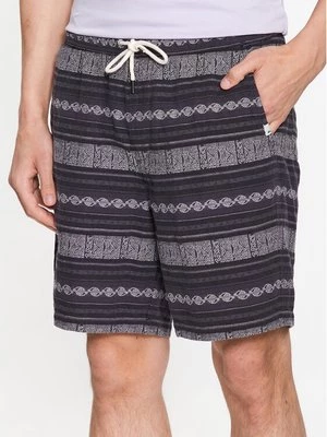 Obrázek produktu Quiksilver Sportovní kraťasy Taxeryd EQYWS03769 Šedá Regular Fit