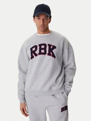 Obrázek produktu Reebok Mikina Barry RK25553CCM Šedá Relaxed Fit