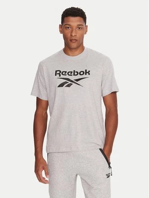Obrázek produktu Reebok T-Shirt RK25141CCM Šedá Regular Fit