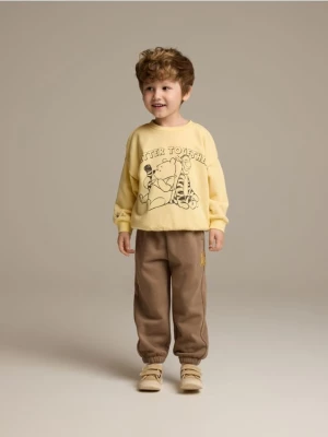 Obrázek produktu Reserved - BOYS` JOGGING TOP & TROUSERS - tmavě hnědá