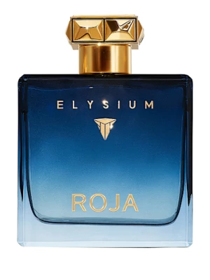 Obrázek produktu Roja London Elysium Pour Homme Eau de Parfum 100 ml