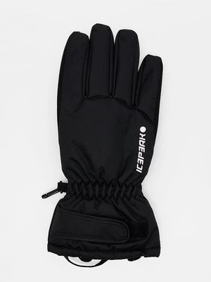 Obrázek produktu Rukavice icepeak