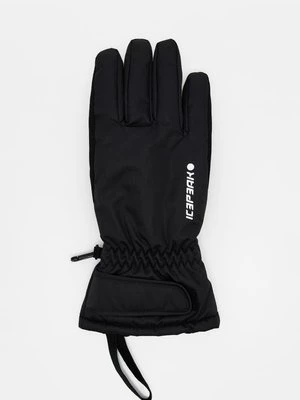 Obrázek produktu Rukavice icepeak