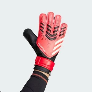 Obrázek produktu Rukavice Predator Training Goalkeeper Adidas