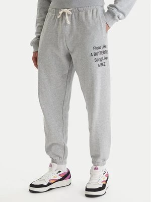 Obrázek produktu RVCA Teplákové kalhoty Va X Ali 23A123500 Šedá Relaxed Fit