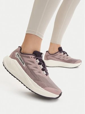 Obrázek produktu Salomon Běžecké boty Aero Blaze 3 Grvl W L49218000 Béžová