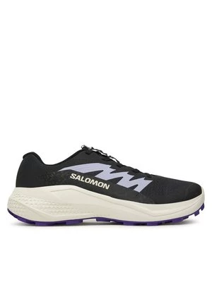 Obrázek produktu Salomon Běžecké boty Alphaglide L47801800 Šedá