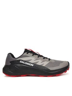 Obrázek produktu Salomon Běžecké boty Alphaglide L48000800 Šedá