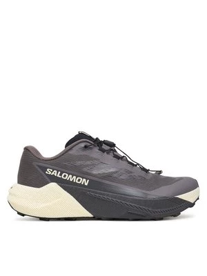 Obrázek produktu Salomon Běžecké boty Pulsar L47975500 Fialová