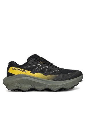 Obrázek produktu Salomon Běžecké boty Ultra Flow 2 Gore-Tex L47883200 Černá