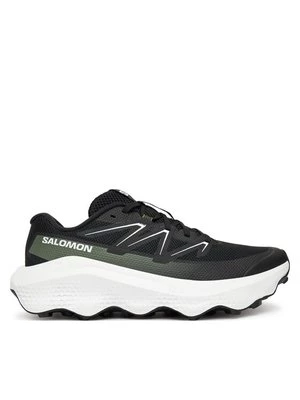 Obrázek produktu Salomon Běžecké boty Ultra Flow 2 L47883500 Černá