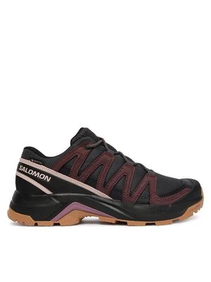 Obrázek produktu Salomon Trekingová obuv X-Adventure Recon Gtx L49096600 Hnědá