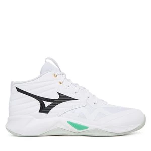 Obrázek produktu Sálovky Mizuno Wave Momentum Pro Mid V1GA2545 Bílá