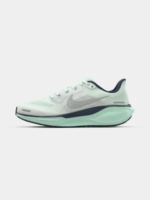 Obrázek produktu Silniční běžecké boty Nike Performance