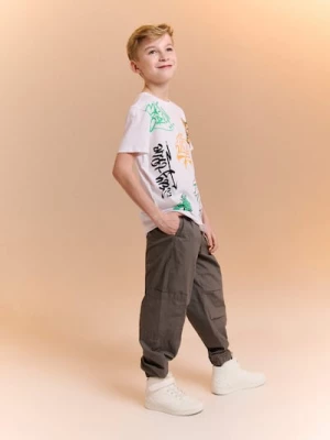 Obrázek produktu Sinsay - Jeansy jogger cargo - szary