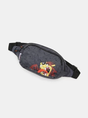 Obrázek produktu Sinsay - Ledvinka s potiskem Looney Tunes - šedá