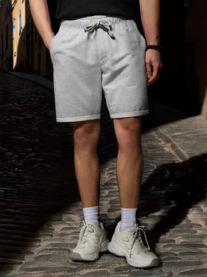 Obrázek produktu Sinsay - Šortky slim fit - šedá