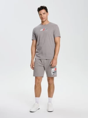 Obrázek produktu Sinsay - Tričko s potiskem Initial D Elyaf - šedá