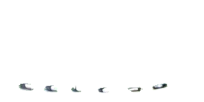 Obrázek produktu Skechers Chlapci S-Lights: Glide-Step Lights Teniska v Modrý/Černá
