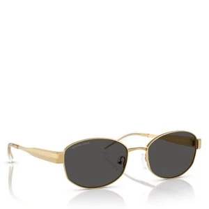 Obrázek produktu Sluneční brýle Michael Kors 0MK1161 18968756 Zlatá