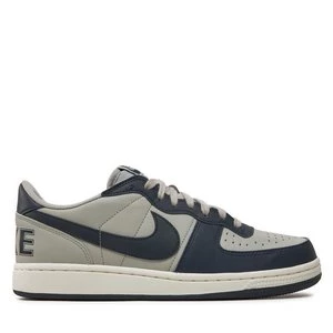 Obrázek produktu Sneakersy Nike Terminator Low FN6830 001 Šedá