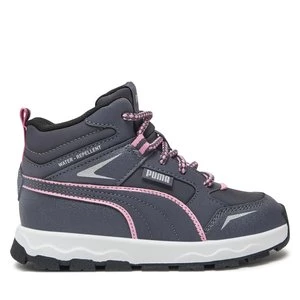 Obrázek produktu Sneakersy Puma Evolve Trail Ps 397645 03 Šedá
